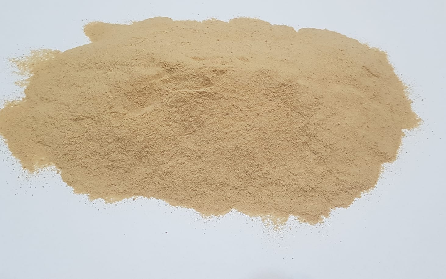 dry brewers yeast SACCHAROMYCES CEREVISIAE