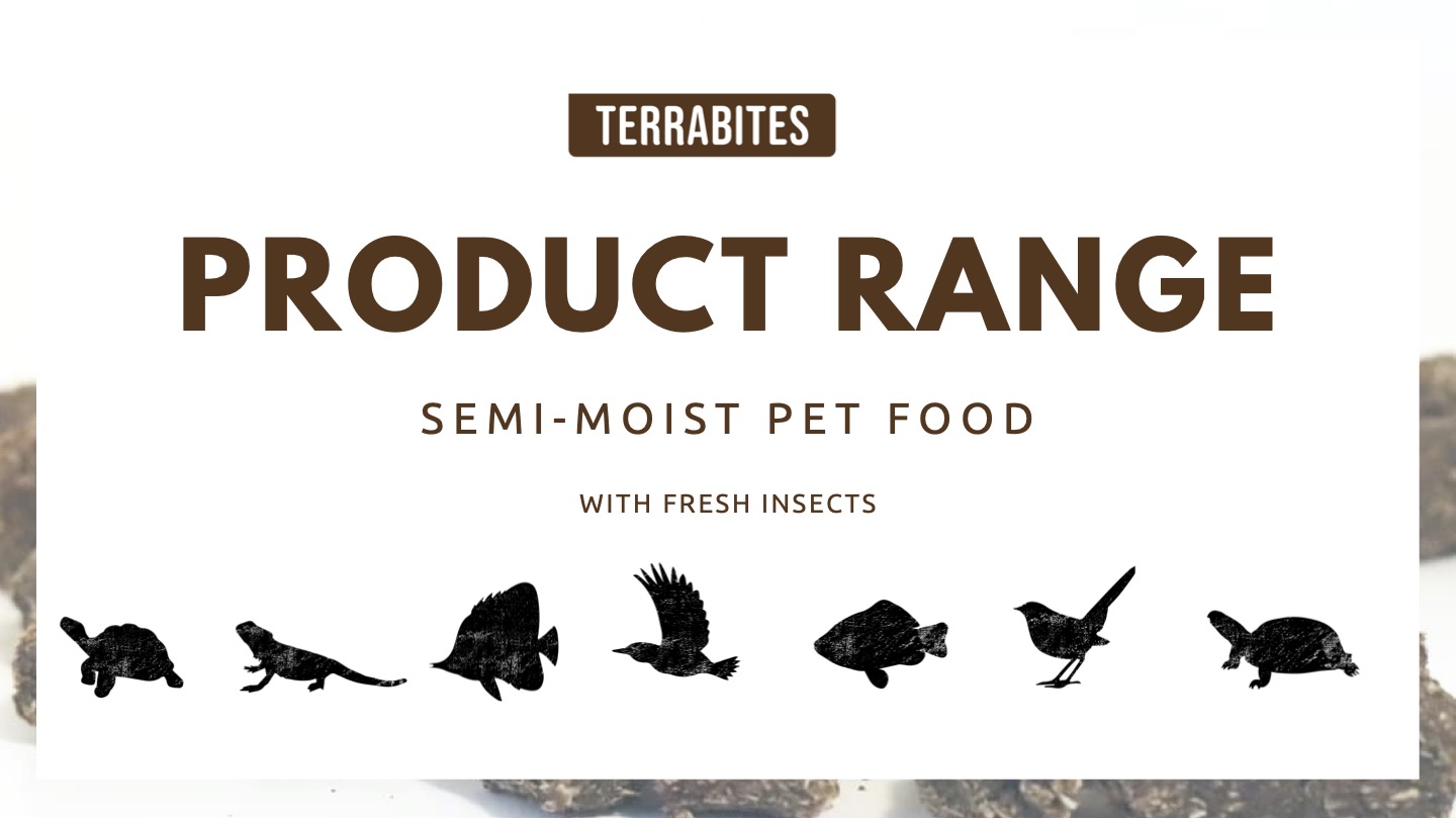 Semi moist reptile food with insects