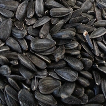 Black Sunflower seeds