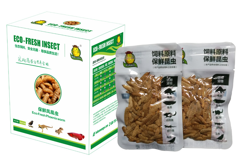 Eco Fresh Black Soldier Fly Larvae For Reptiles and Fishes