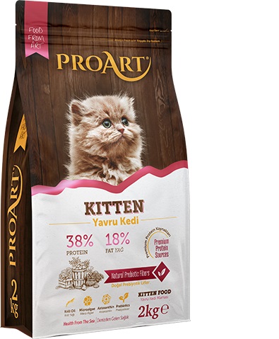 ProArt Kitten Dry Food - 2-Kg